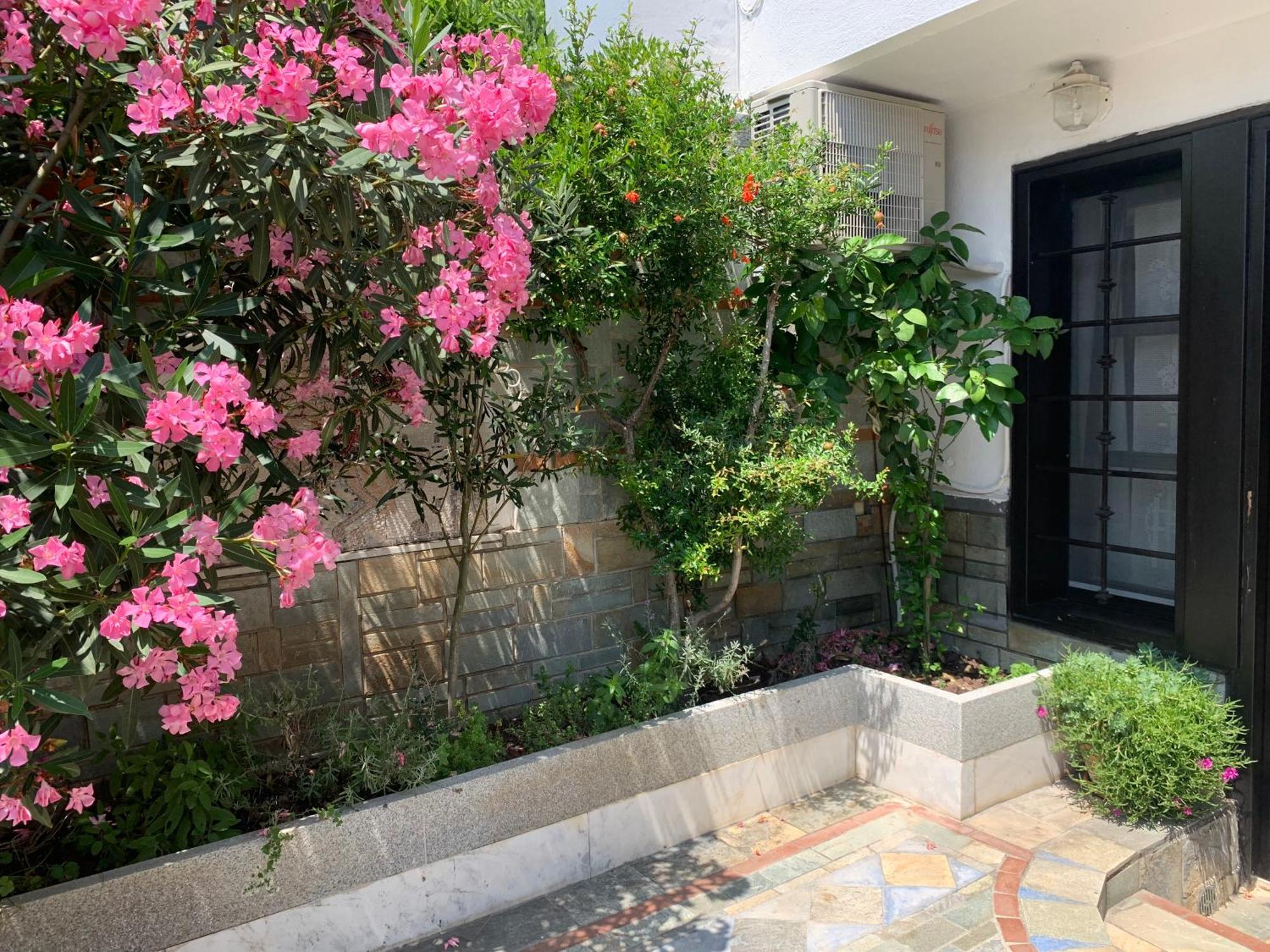 Gemuetliches Appartement In Ano Poli Tessalónica Exterior foto